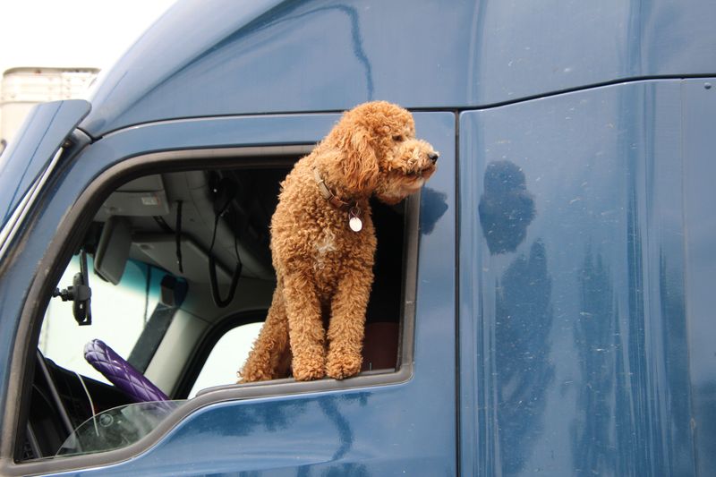 Steering Clear of Trucks and Trailers
