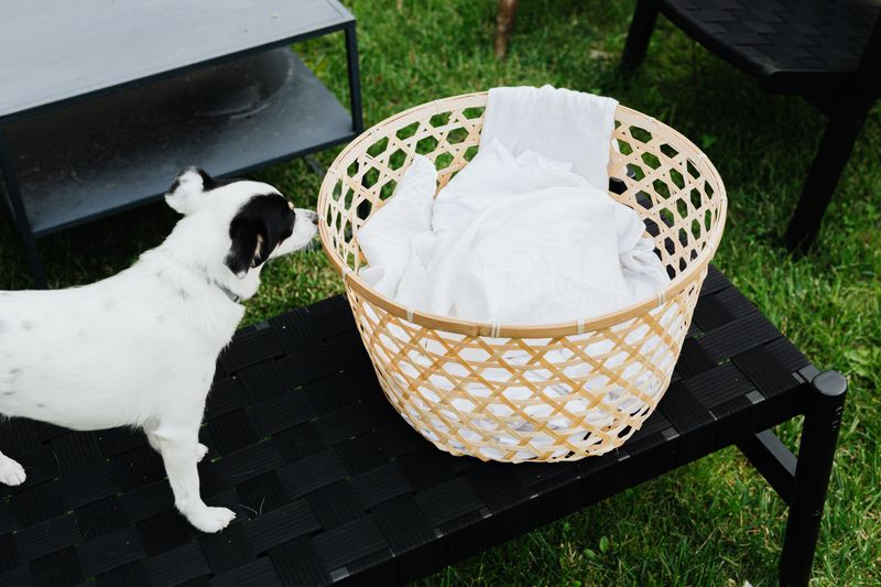 Replace Open Laundry Baskets With Covered Hampers