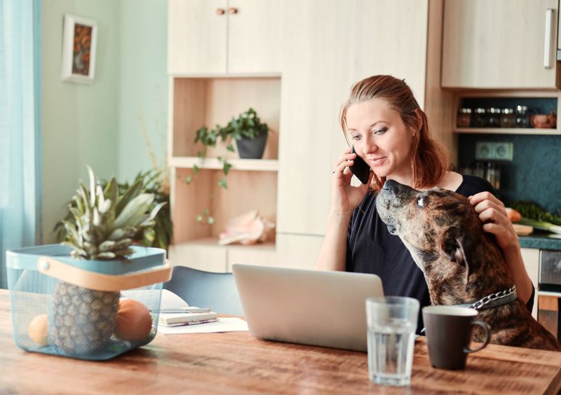Get the Answers Before You Sign the Boarding Agreement