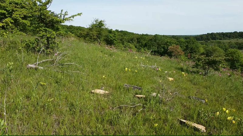 Valley View Glades Natural Area