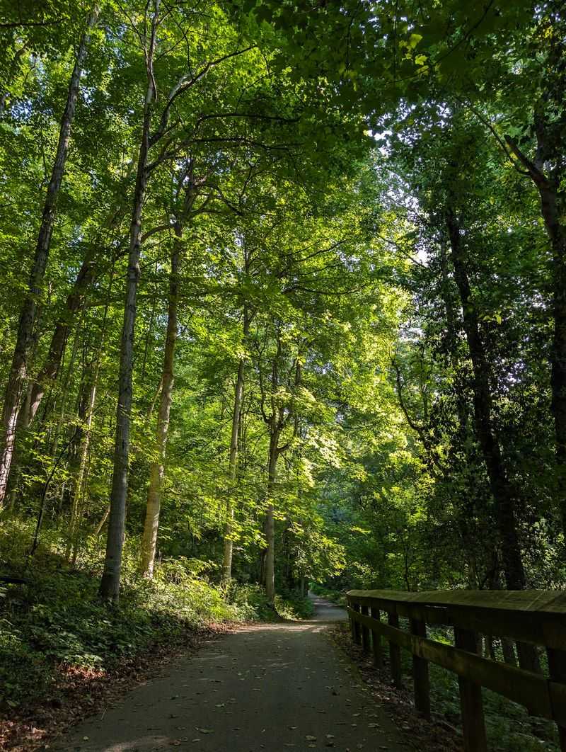 Whitewater Gorge Trail, Richmond