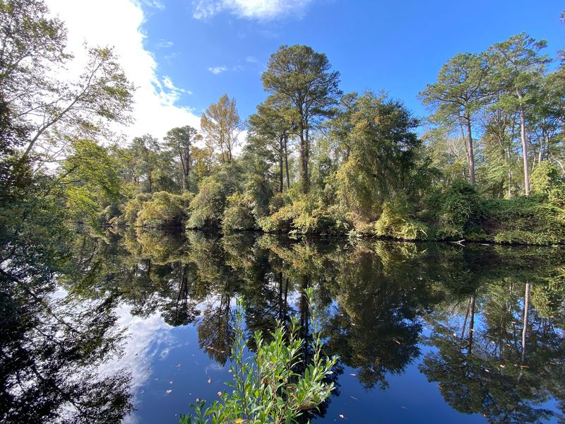 Dismal Swamp Canal Trail, Chesapeake
