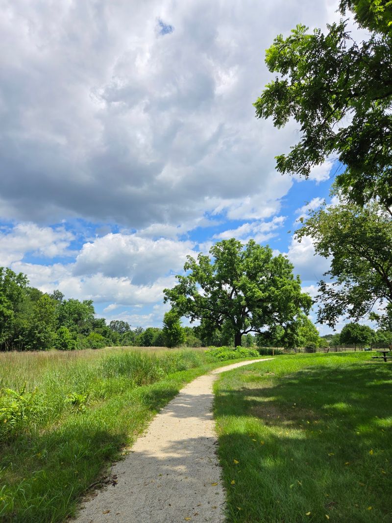 Pennington Park Walking Paths: Match the Surface to Your Wheels