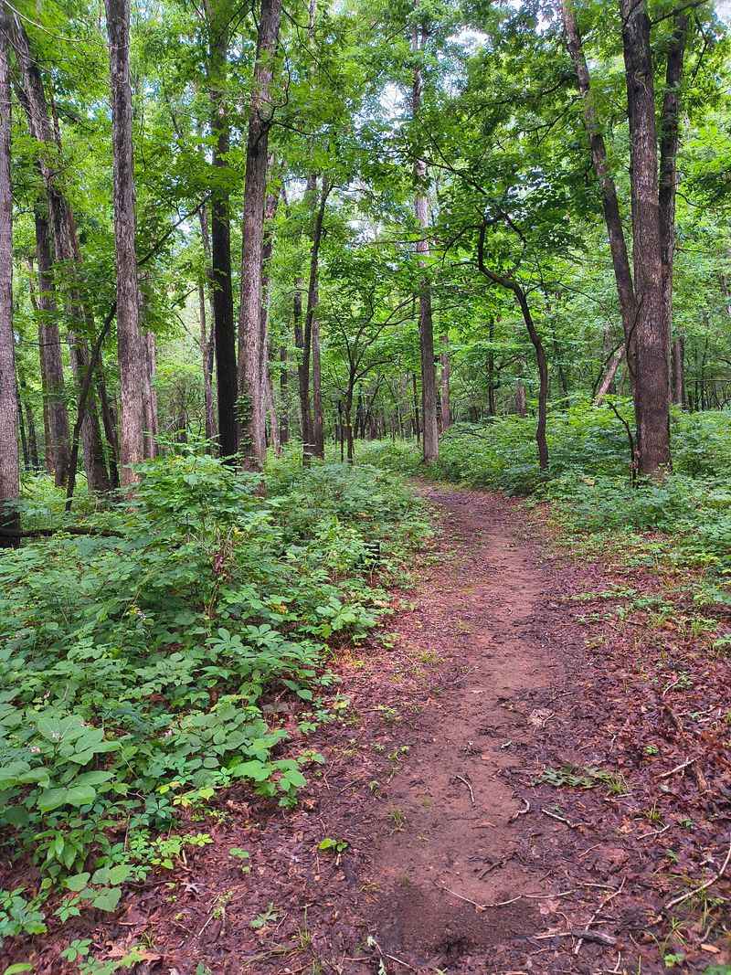 Stockton State Park Campgrounds