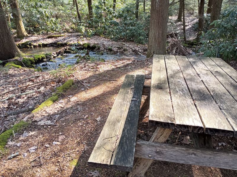 Bear Gap Picnic Area, Bald Eagle State Forest