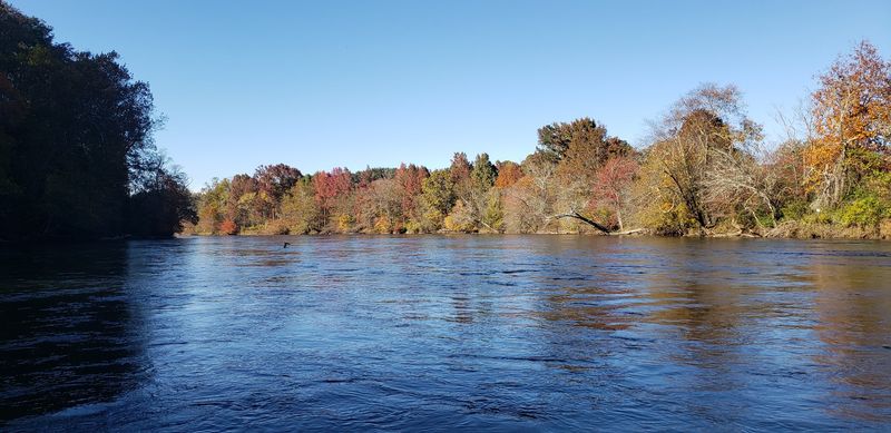 French Broad River Greenway, Asheville: Riverside Wandering
