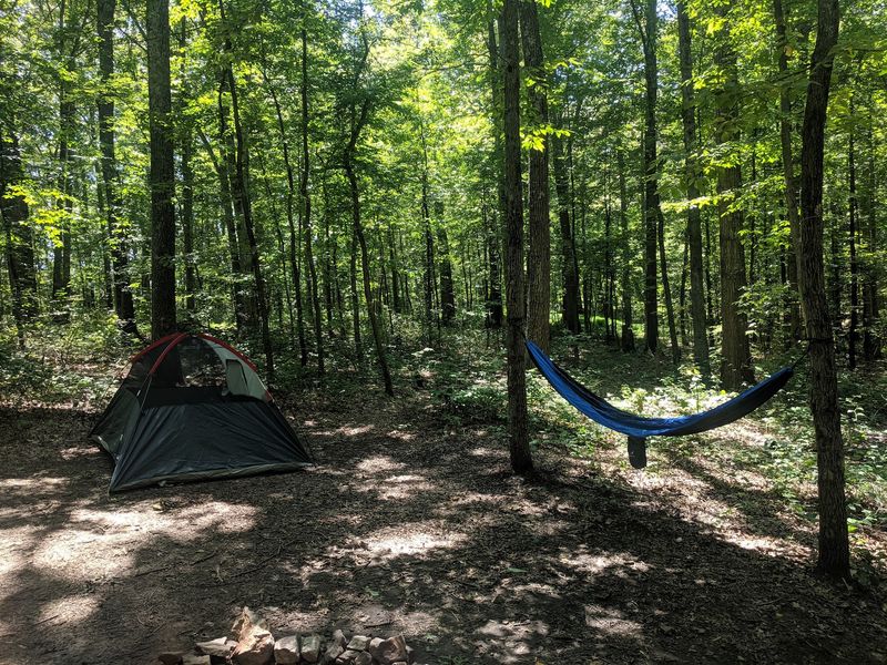 Green Ridge State Forest Primitive Campsites, Allegany County