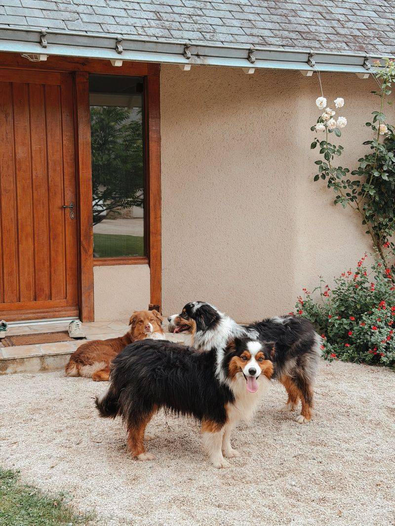 A Private Yard or Secure Patio