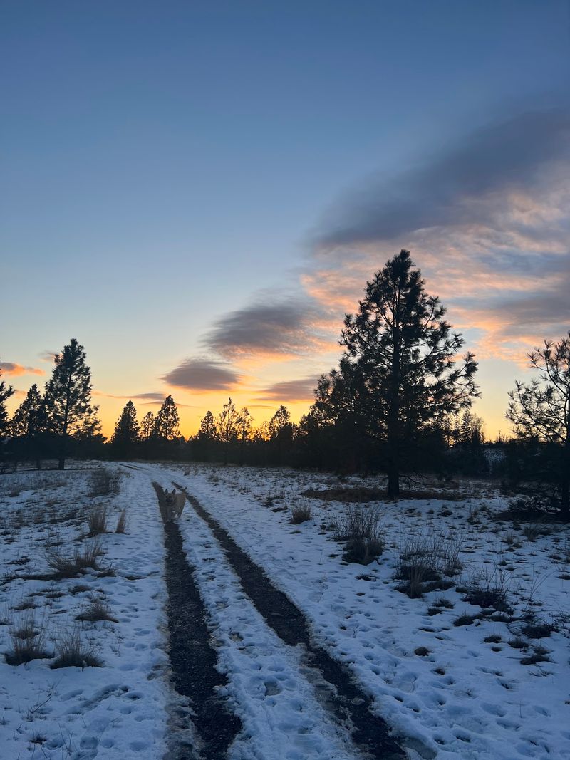 8 Appleway Trail: Spokane Valley's Easygoing Urban Ribbon