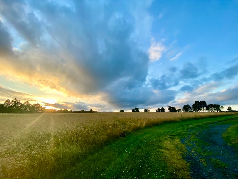 Bristoe Station Battlefield Heritage Park: Make Time for Meadow Sniffs