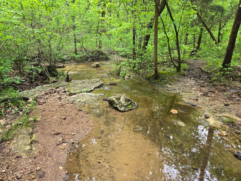St. Francois State Park Campgrounds