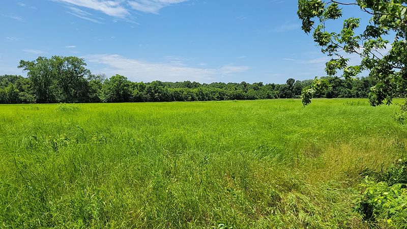 Ripgut Prairie Natural Area