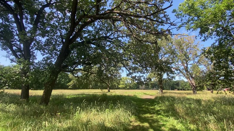 Elk River: Bailey Point Nature Preserve
