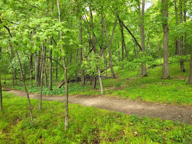 Lake Carlos State Park: Wooded Wandering