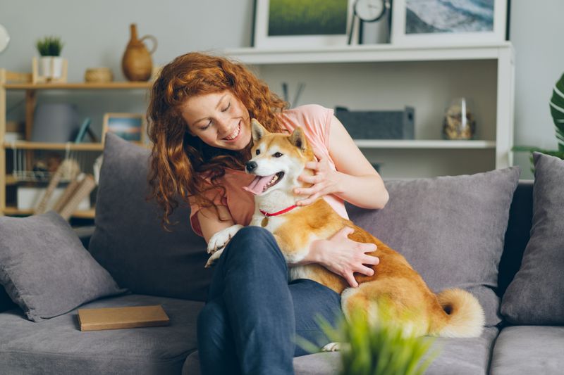 Prepared Owners Bring Dogs Home