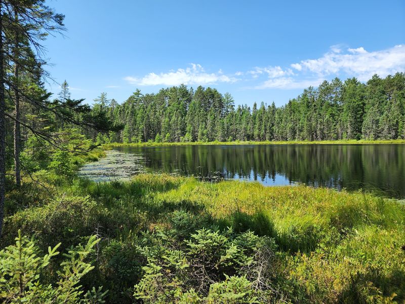 Savanna Portage State Park: Beaver Pond Trail
