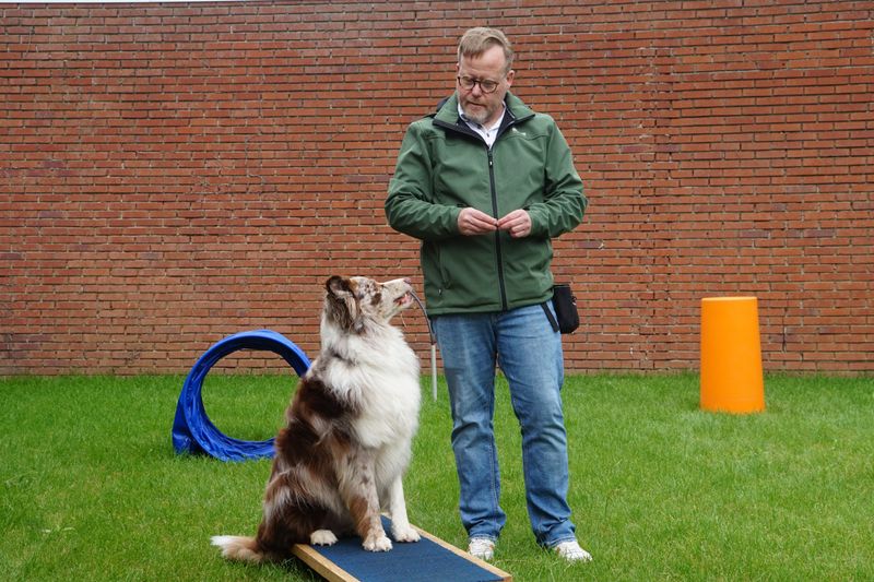 Rally Obedience
