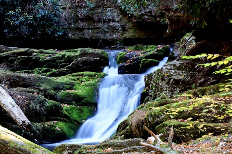 Van Campens Glen Trail: Check Access Before Going