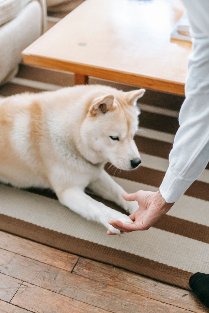 Build a Comfortable Mat Routine