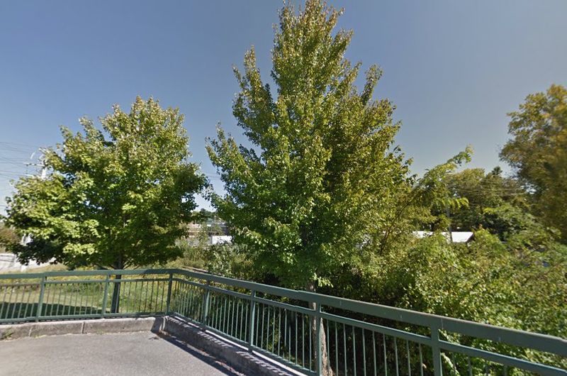 Bearden Village Greenway - Knoxville