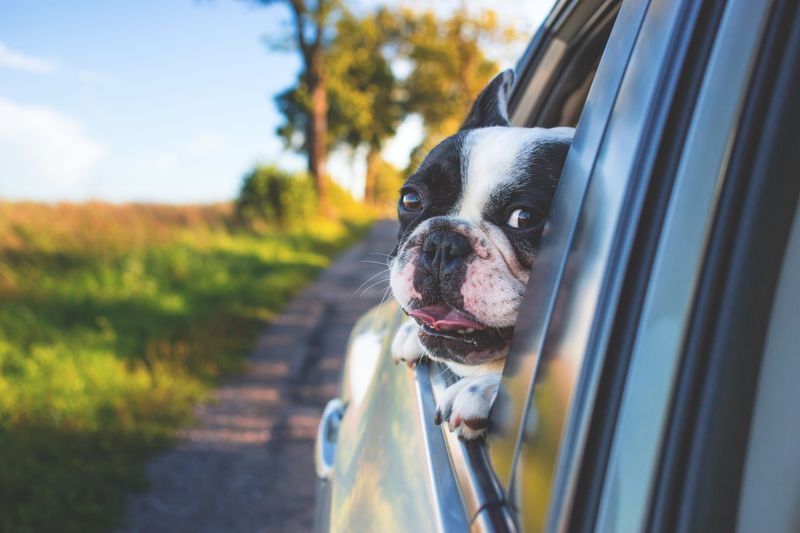 Prepare a Travel-Day Care Plan
