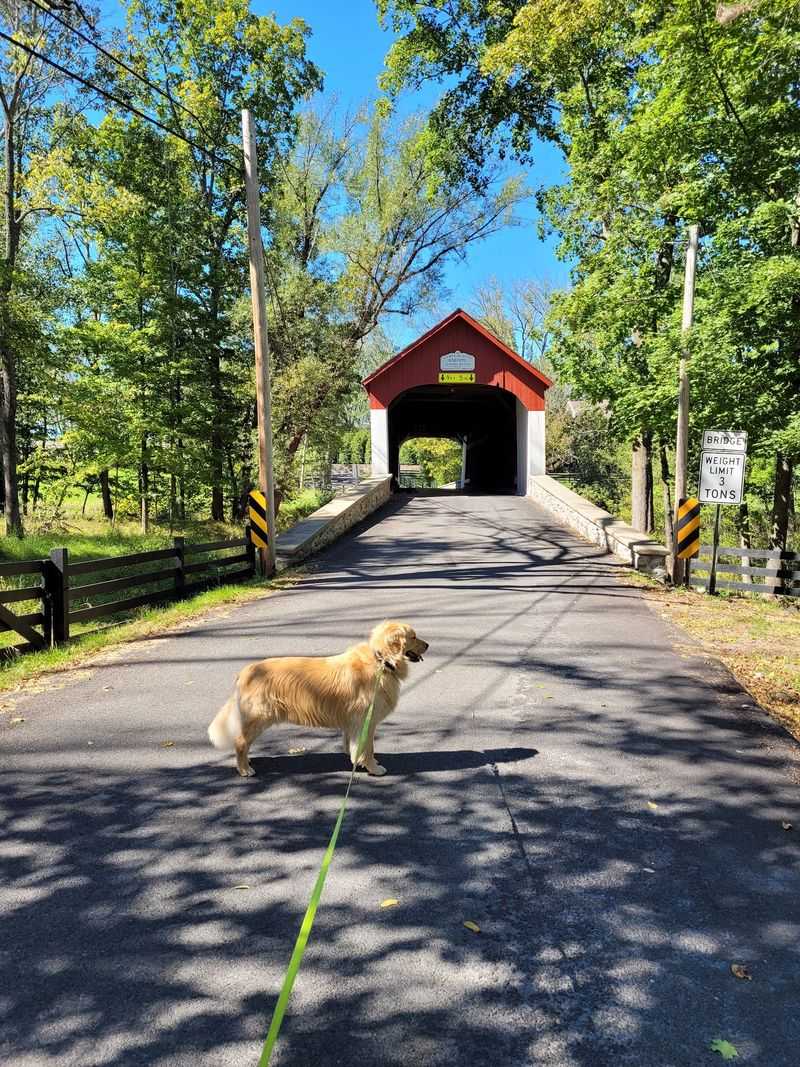 Knecht's Quiet Country Crossing