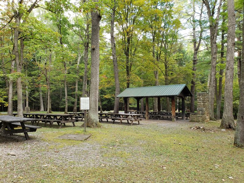Sweet Root Picnic Area, Buchanan State Forest