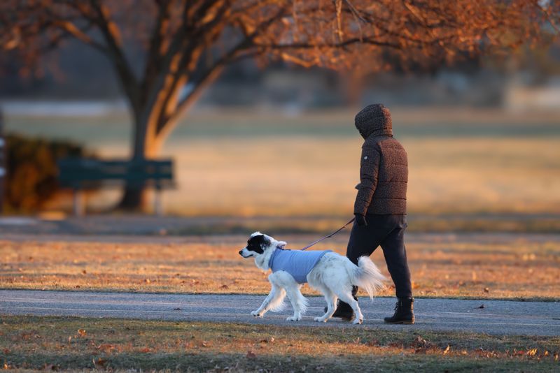 Seasonal Forecasts Help You Pick Better Walking Times