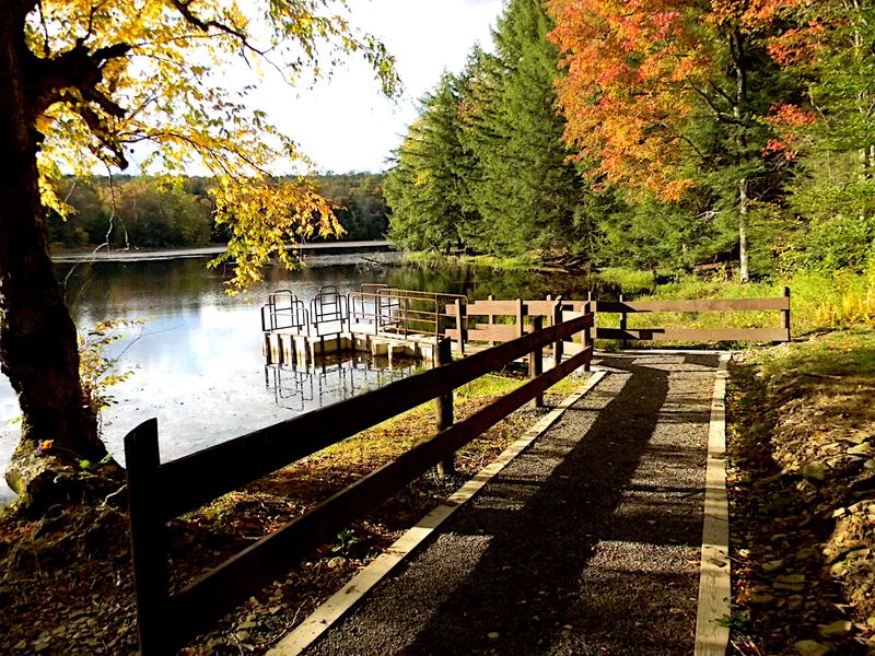 Bear Wallow Pond Picnic Area, Loyalsock State Forest