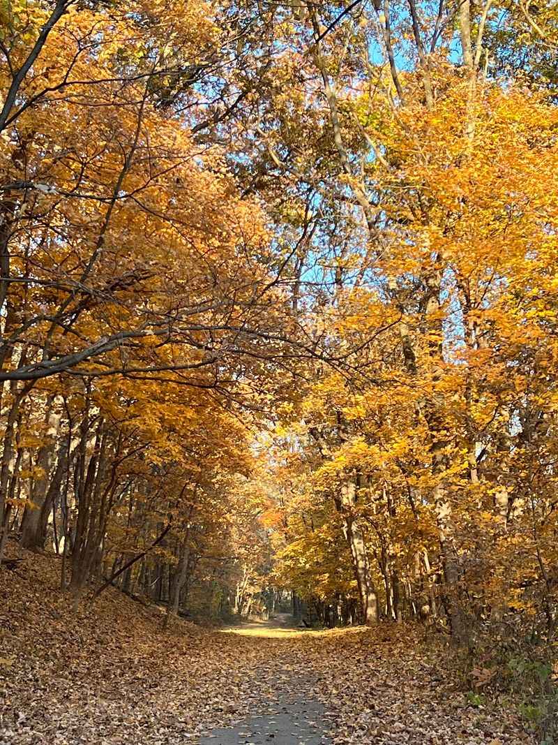 Weston Bend State Park Campground