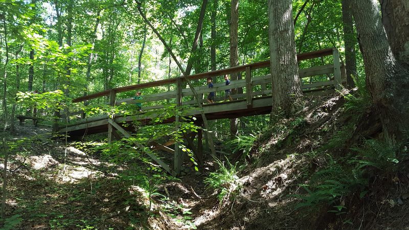 Autrey Mill Nature Preserve, Johns Creek: Finish With Forest and Heritage