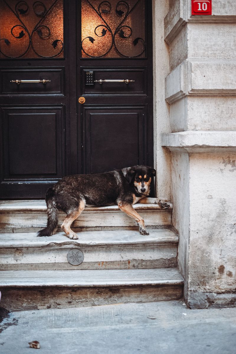Handling Vestibules, Porches, and Stoops