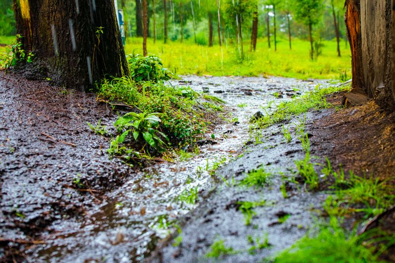 Saturated Ground Adds to the Runoff