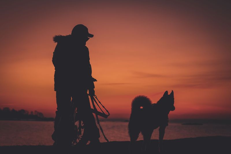 Evening Walks May Become The Better Option