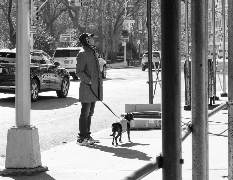 Give Your Rescue Dog Time to Adjust to New York City Noise