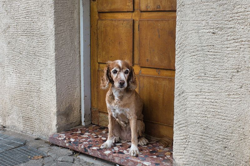 Polite Waiting at Doors and Gates