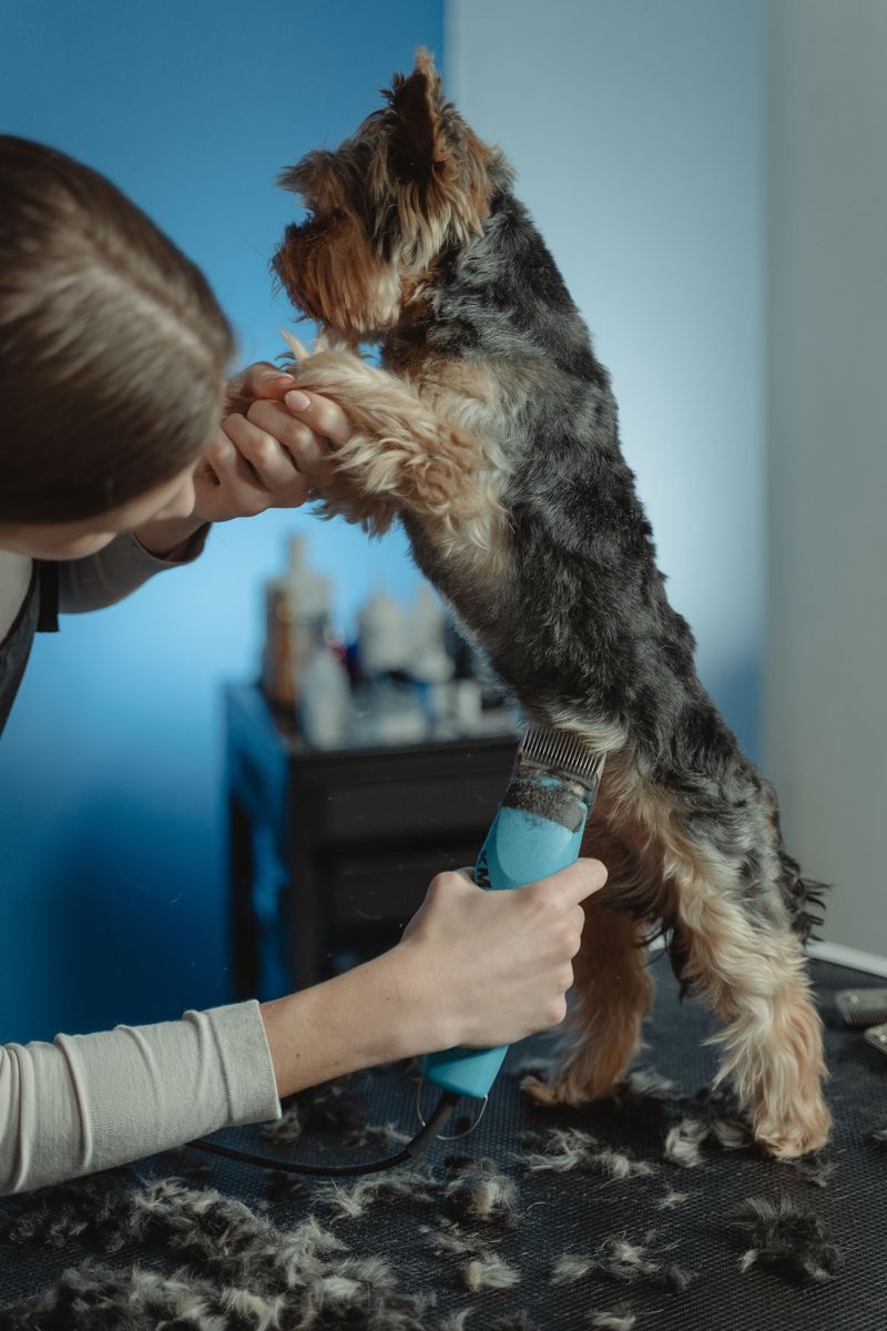 Clipper Irritation After a Summer Haircut