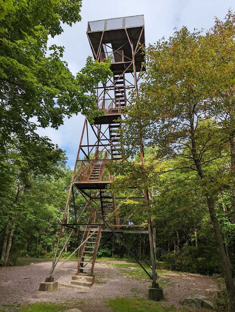 Mount Davis State Forest Picnic Area, Forbes State Forest