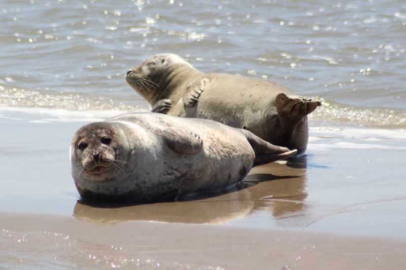 Keep Children and Other Beachgoers Back