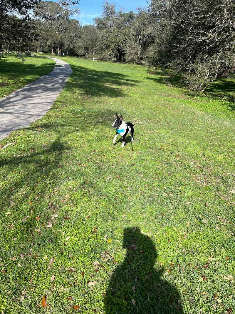 Wisner Trail, New Orleans