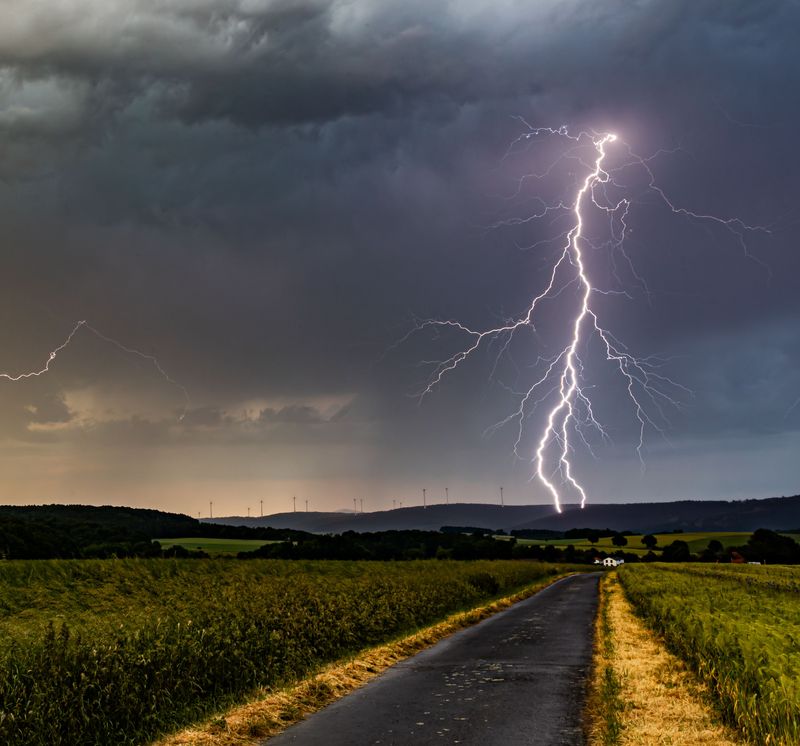 Keep Dogs Away From Colorado’s Open Trails During Storms
