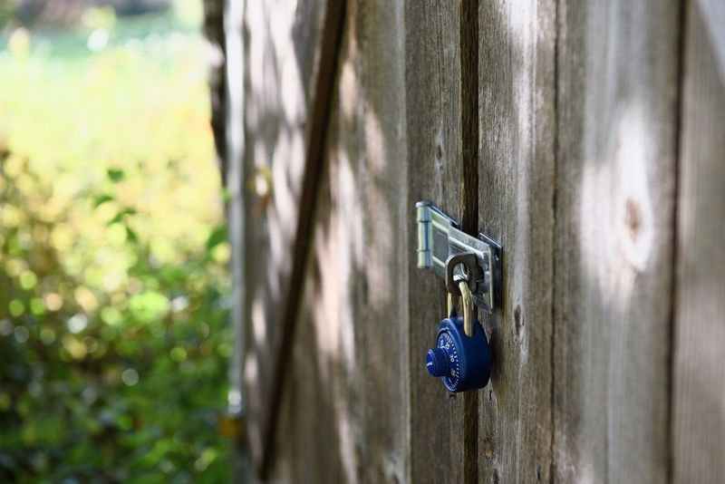 Secure Gates Before Letting Dogs Outside
