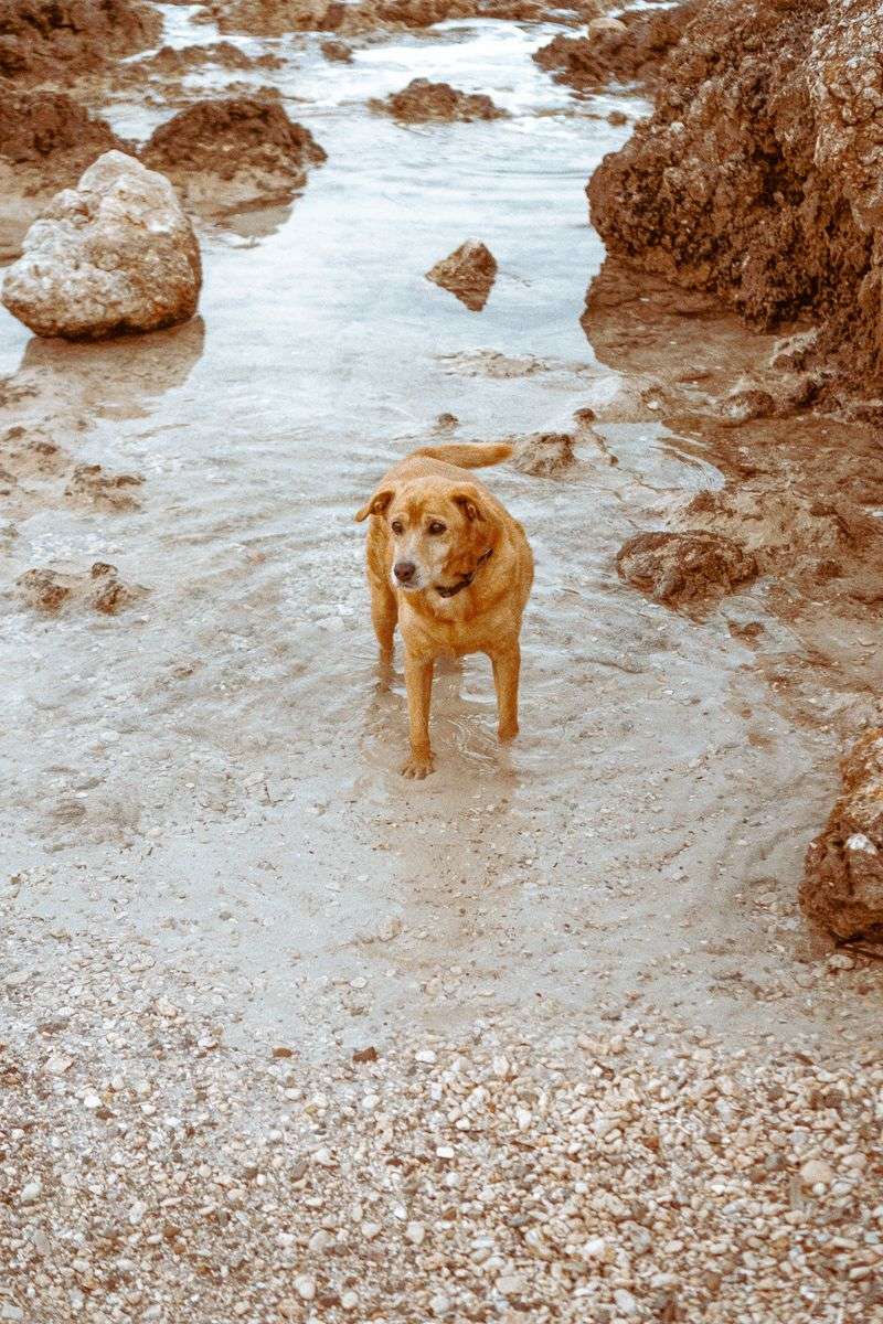 Rinse Sand From Between the Toes