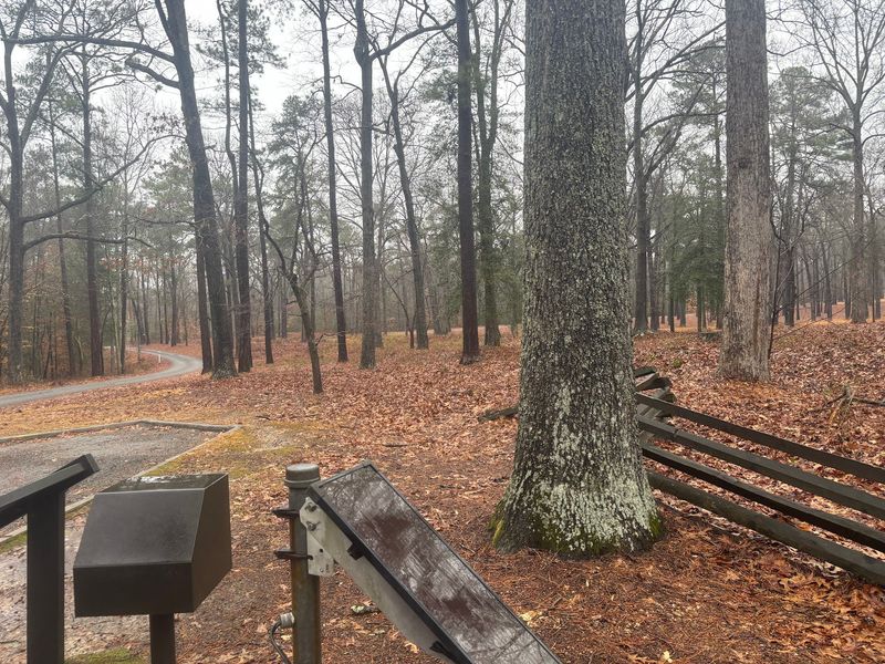 Cold Harbor Battlefield: Pick a Color and Wander