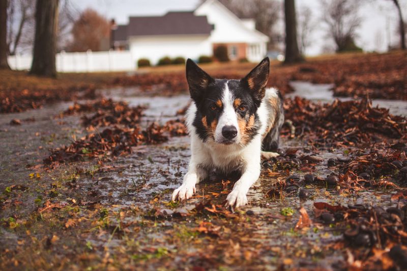 Outdoor Hazards Can Appear Overnight