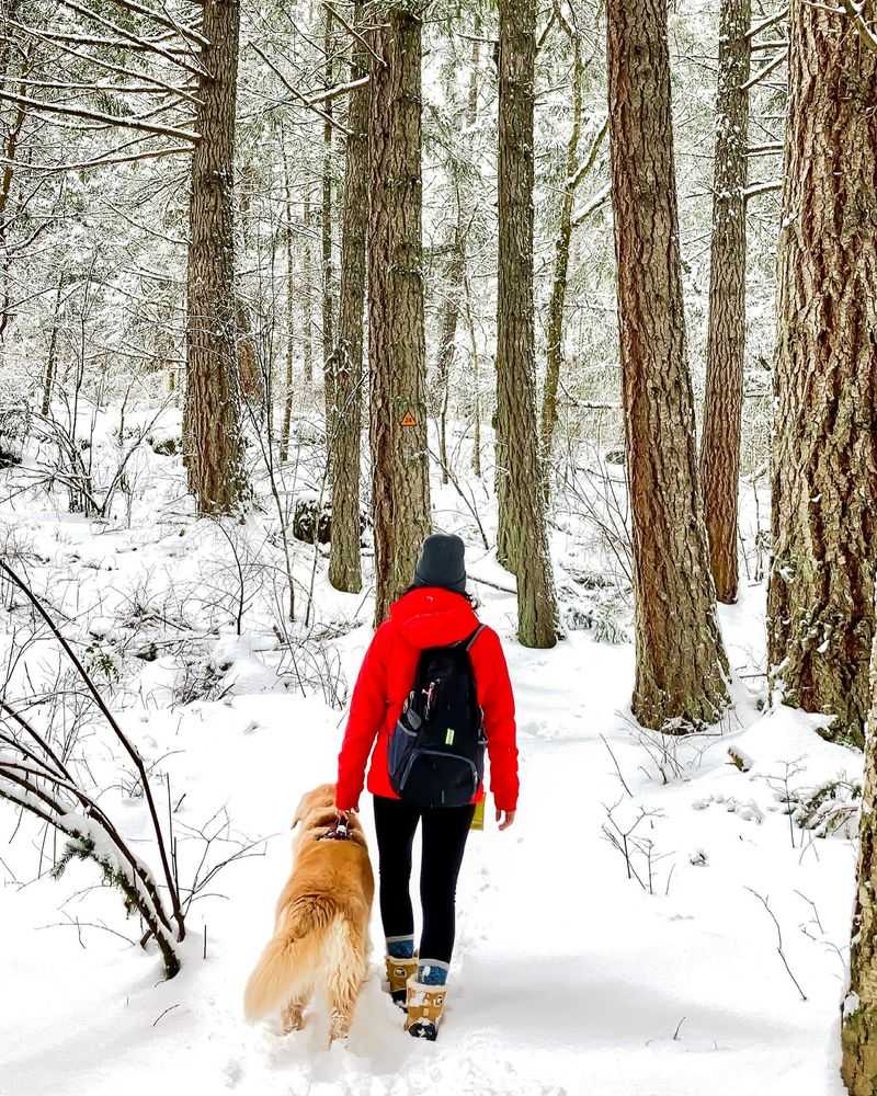Ordinary Outings Need a Better Packed Bag