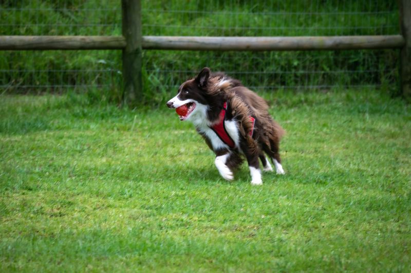 Recall Training and Enrichment Deserve More Attention