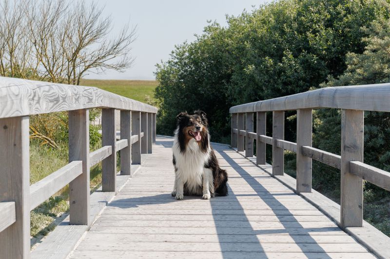 Heat Can Build Up On Exposed Trails