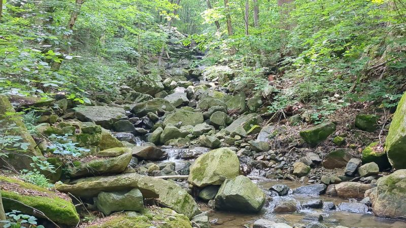 Musconetcong Gorge Preserve: Earn Your Ravine Views
