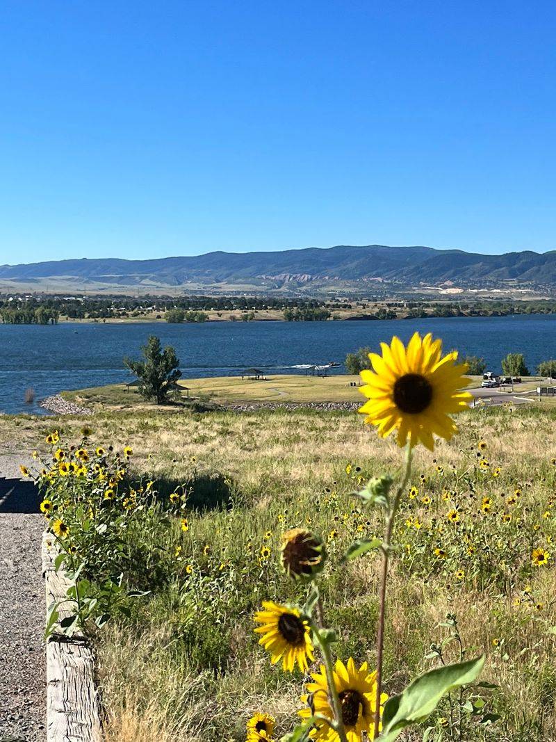 Chatfield Perimeter Trail: Pick Pavement, Skip the Full Circuit